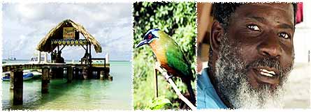 Tobago Pigeon Point, Mot Mot and Tobagonian